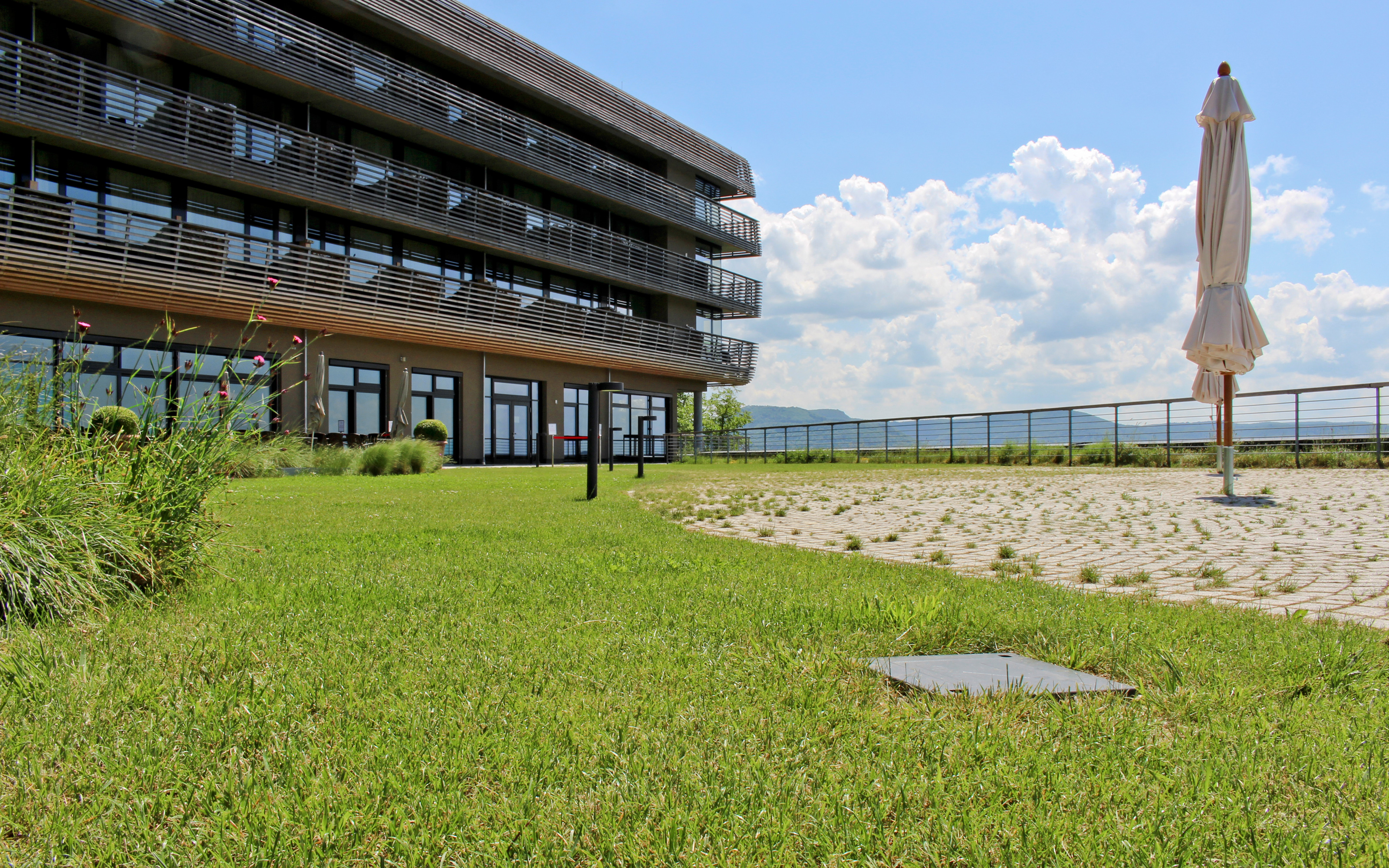 The parasols are fixed into the ground. Roof garden with lawn, natural stone paving and parasols
